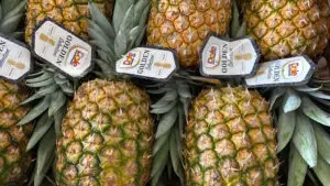 Ananas Sally Heerenveen