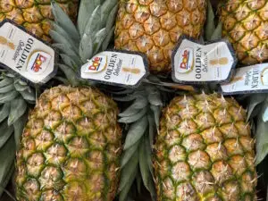 Ananas Sally Heerenveen