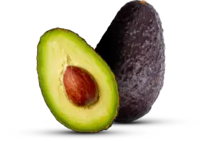 fruit online bestellen