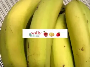 bananen online bestellen