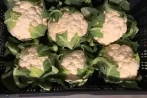 bloemkool koop je online