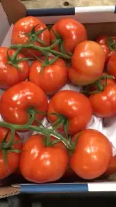 trostomaten, per 500 gram hollandse