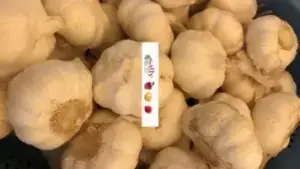 knoflook bestel je online bij Sally