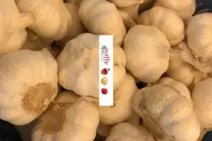 knoflook bestel je online bij Sally
