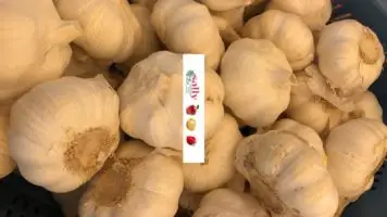 knoflook bestel je online bij Sally