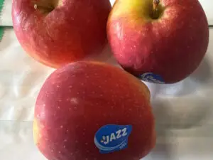 Jazz appels Sally Heerenveen