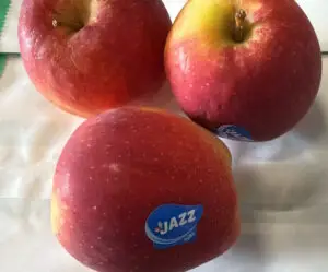 Jazz appels Sally Heerenveen