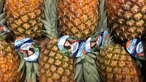 ananas online bestellen