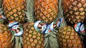 ananas online bestellen
