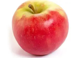 fruit online bestellen