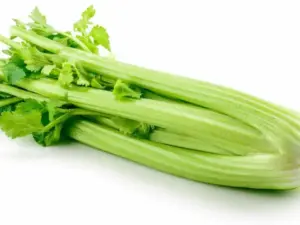 Bleekselderij per struik