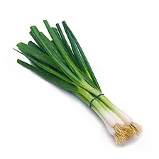 Lente uitjes per bos