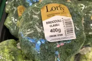 broccoli koop je online