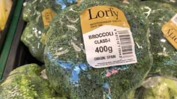 broccoli koop je online