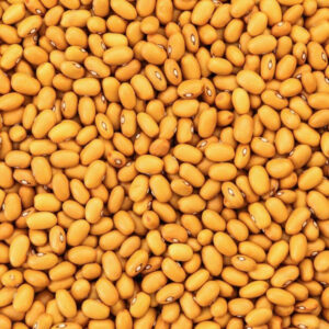 Bruine bonen 1 kg