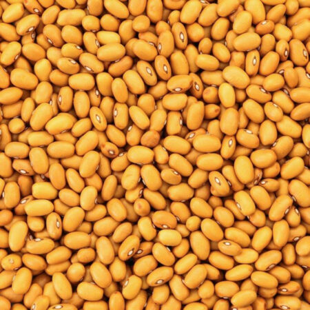 Bruine bonen 1 kg