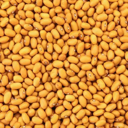Bruine bonen 1 kg
