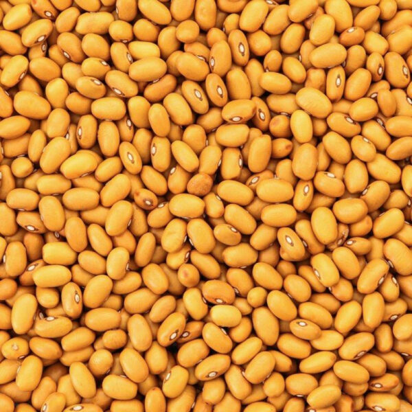 Bruine bonen 1 kg