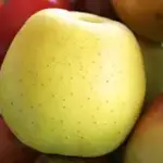fruit online bestellen
