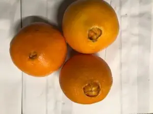 Sinaasappelen voor de hand, per 5 stuks