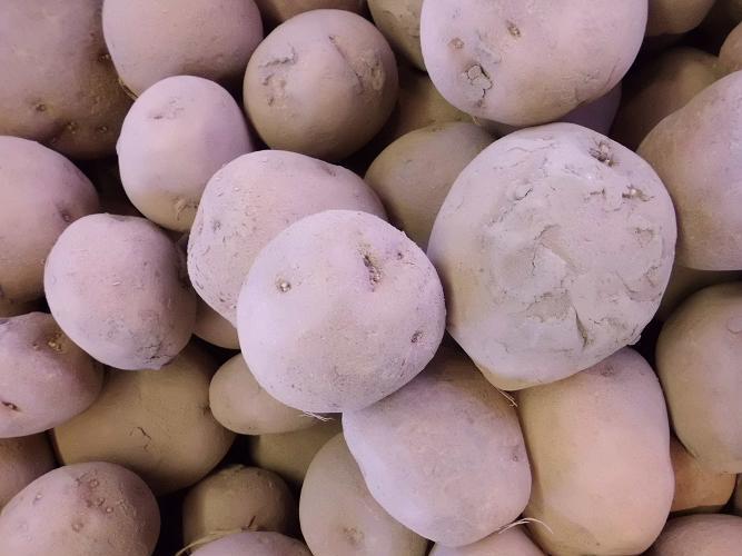 Irene aardappelen, per 5 kilo - fruit aardappelen online bestellen