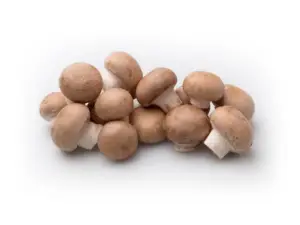 Champignon kastanje per 250 gram