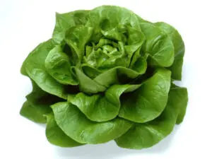 groente online bestellen