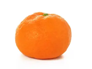 fruit online bestellen
