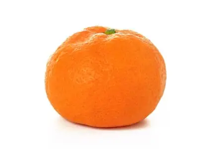 fruit online bestellen
