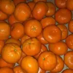 fruit online nestellen