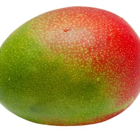 mango online bestellen
