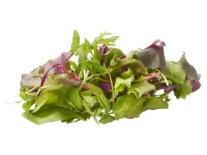 Mesclun sla, doosje