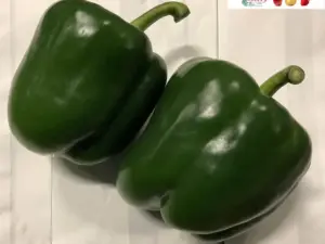 groene paprika
