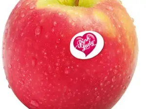 fruit online bestellen
