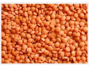 Linzen rood kilo