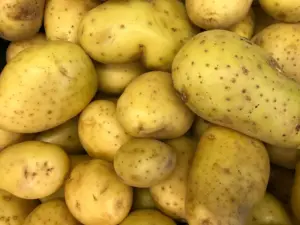 Nieuwe Malta aardappelen per 5 kilo