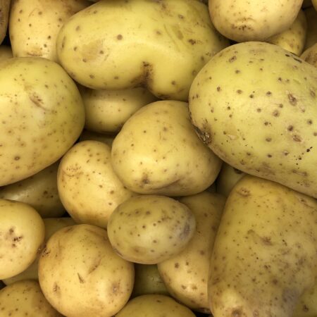 Doré aardappelen nieuwe oogst Spaanse per kilo