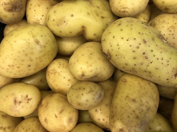 Doré aardappelen nieuwe oogst Spaanse per kilo