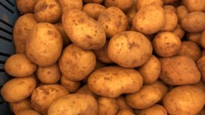 malta aardappelen bij Sally