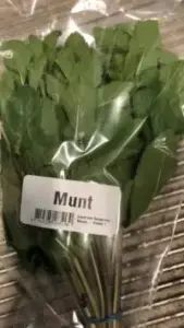 verse munt online bestellen