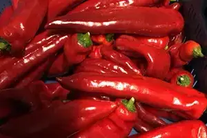 punt paprika online bestellen