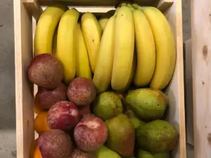 werkfruit sally 100 stuks