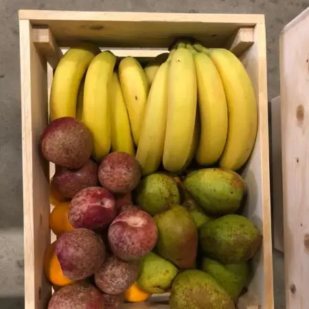 werkfruit sally 100 stuks