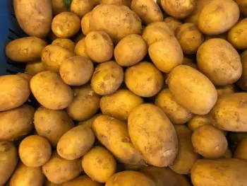 Frieslanders aardappelen, per 5 kilo
