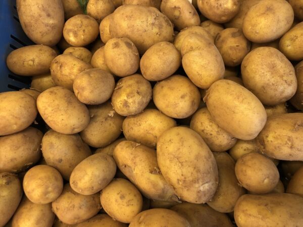 nieuwe nicola aardappelen, per kilo
