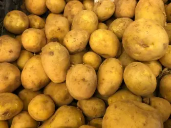 Nieuwe Malta aardappelen, per 2 kilo