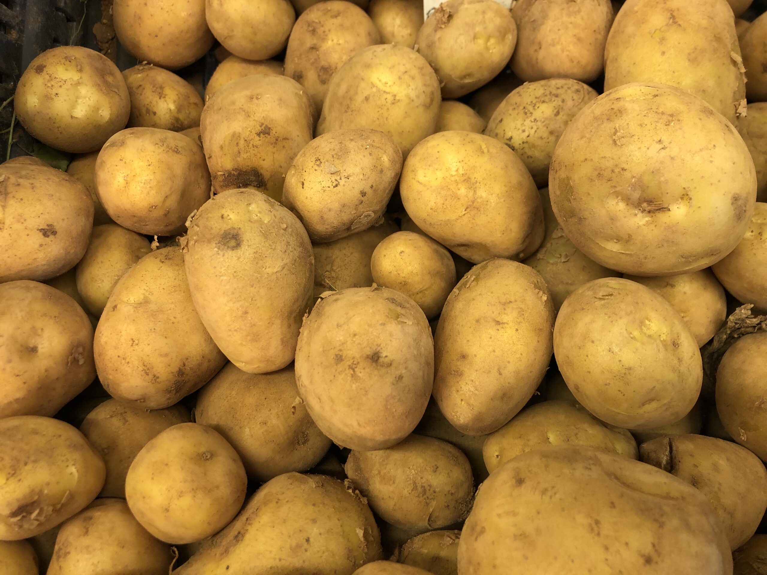 Frieslander aardappelen, per 5 kilo