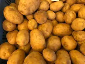 Ouderwetse Rode Star aardappelen, per 5 kilo