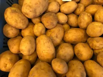 Ouderwetse Rode Star aardappelen, per 5 kilo
