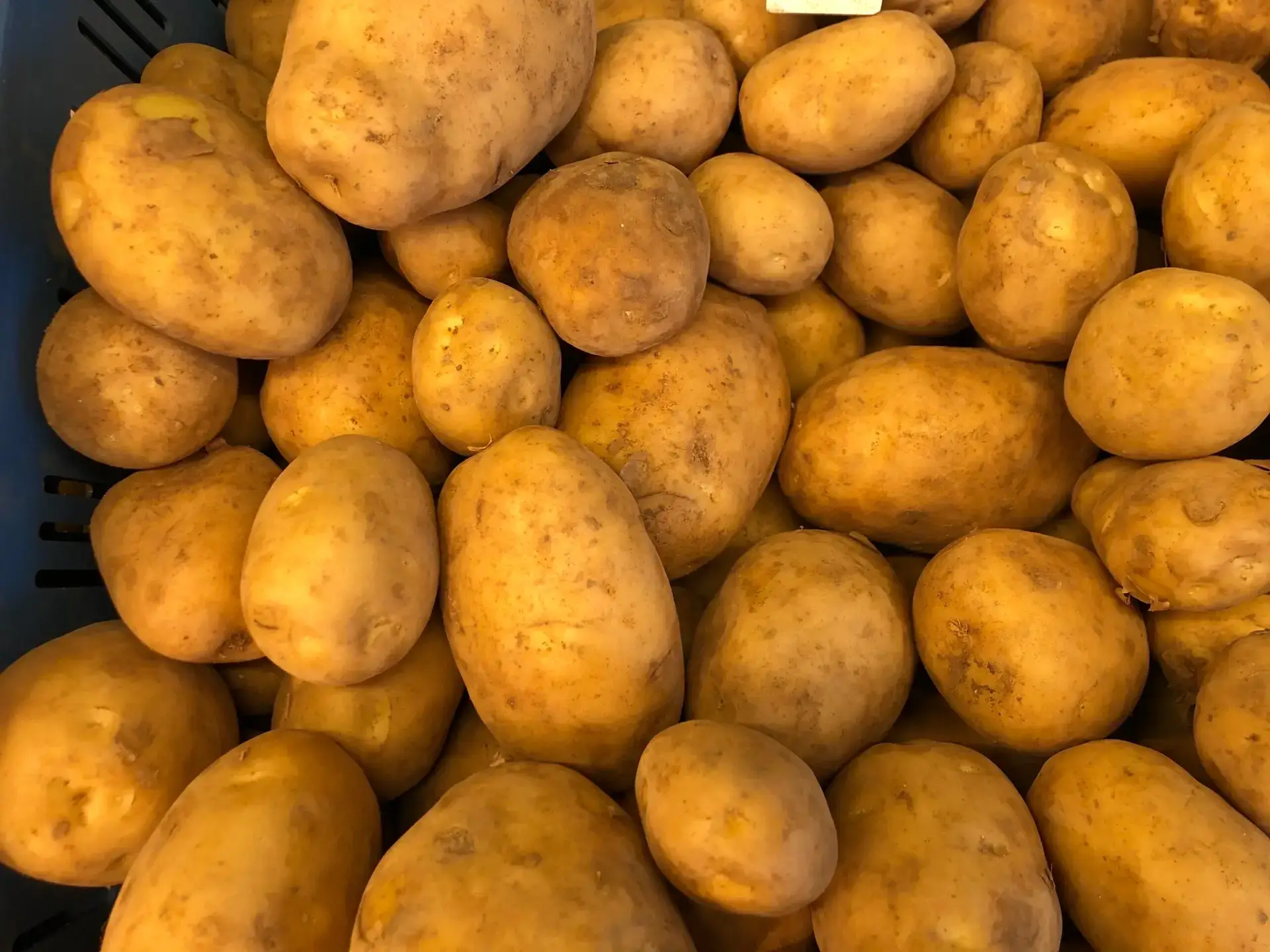 Ouderwetse Rode Star aardappelen, per 5 kilo